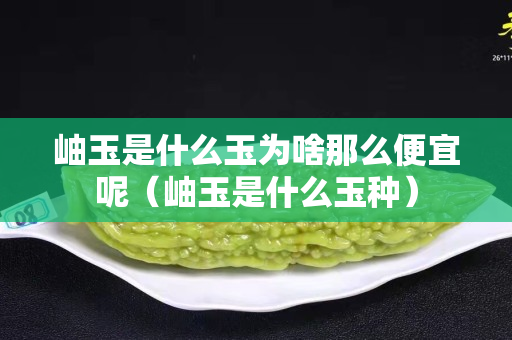 岫玉是什么玉為啥那么便宜呢（岫玉是什么玉種）