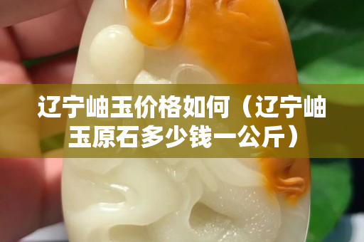 遼寧岫玉價格如何（遼寧岫玉原石多少錢一公斤）