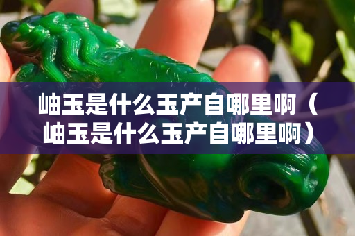 岫玉是什么玉產(chǎn)自哪里啊（岫玉是什么玉產(chǎn)自哪里啊）