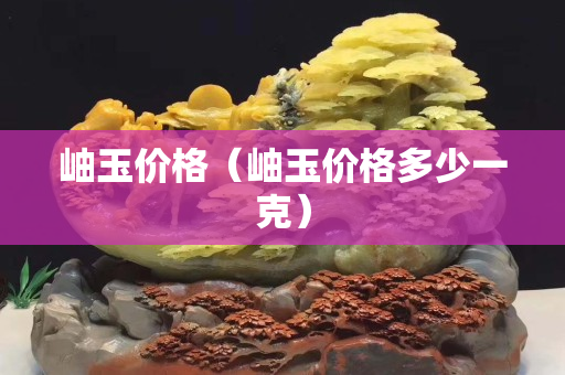 岫玉價格（岫玉價格多少一克）
