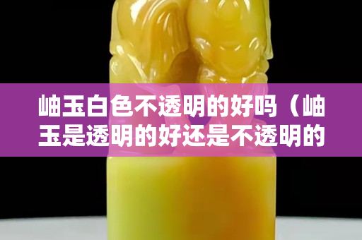 岫玉白色不透明的好嗎（岫玉是透明的好還是不透明的好？）