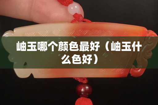 岫玉哪個顏色最好（岫玉什么色好）