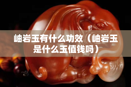 岫巖玉有什么功效（岫巖玉是什么玉值錢嗎）
