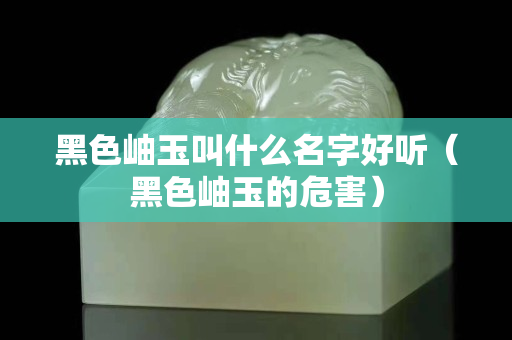 黑色岫玉叫什么名字好聽（黑色岫玉的危害）