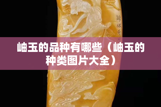岫玉的品種有哪些（岫玉的種類圖片大全）