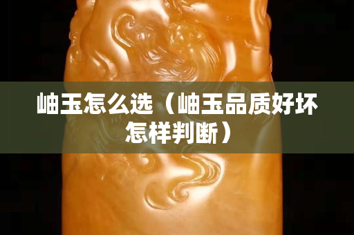 岫玉怎么選（岫玉品質好壞怎樣判斷）