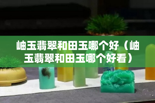 岫玉翡翠和田玉哪個好（岫玉翡翠和田玉哪個好看）