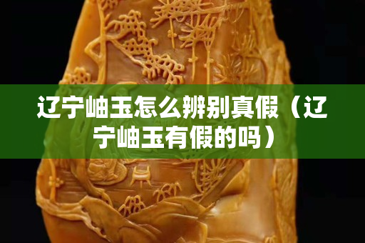 遼寧岫玉怎么辨別真假（遼寧岫玉有假的嗎）