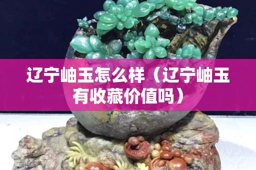 遼寧岫玉怎么樣（遼寧岫玉有收藏價值嗎）