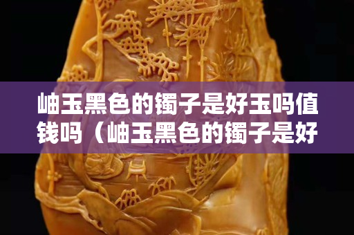 岫玉黑色的鐲子是好玉嗎值錢嗎（岫玉黑色的鐲子是好玉嗎值錢嗎）