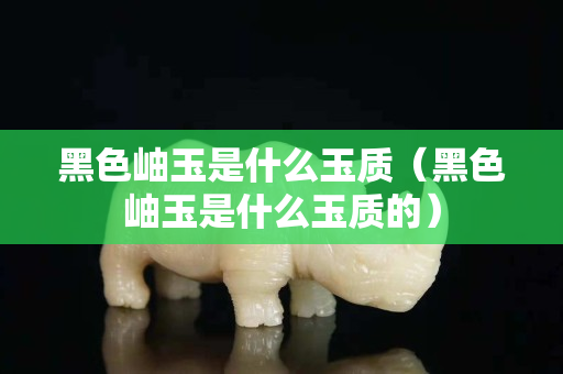 黑色岫玉是什么玉質(zhì)（黑色岫玉是什么玉質(zhì)的）
