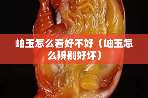 岫玉怎么看好不好（岫玉怎么辨別好壞）