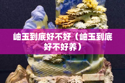 岫玉到底好不好（岫玉到底好不好養）