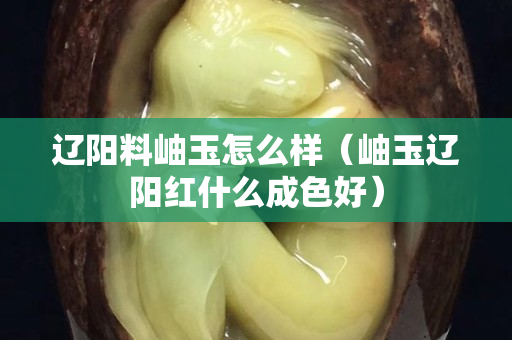 遼陽料岫玉怎么樣（岫玉遼陽紅什么成色好）