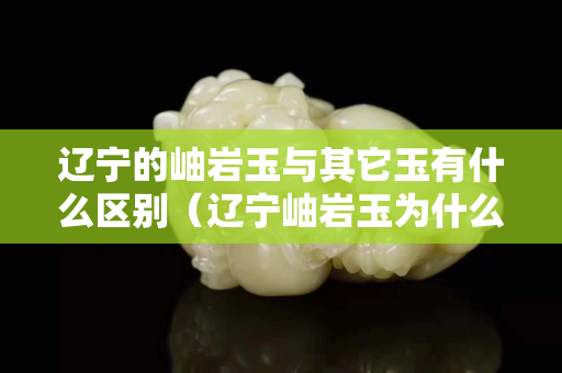 遼寧的岫巖玉與其它玉有什么區別（遼寧岫巖玉為什么便宜）