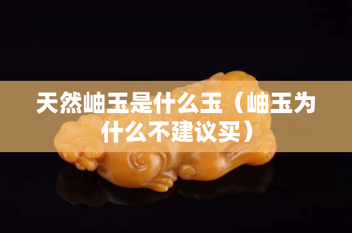 天然岫玉是什么玉（岫玉為什么不建議買）