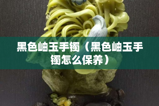 黑色岫玉手鐲（黑色岫玉手鐲怎么保養）