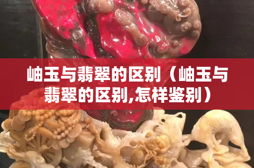岫玉與翡翠的區別（岫玉與翡翠的區別,怎樣鑒別）