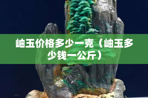 岫玉價格多少一克（岫玉多少錢一公斤）
