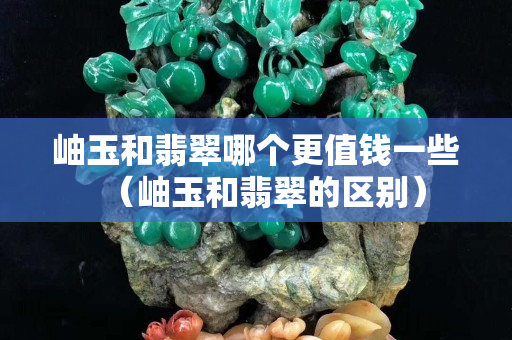 岫玉和翡翠哪個更值錢一些（岫玉和翡翠的區(qū)別）