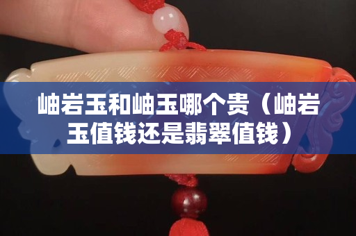 岫巖玉和岫玉哪個貴（岫巖玉值錢還是翡翠值錢）