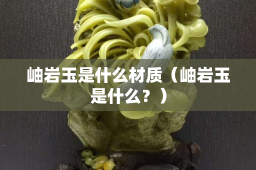 岫巖玉是什么材質（岫巖玉是什么？）
