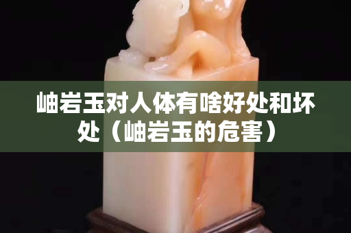 岫巖玉對人體有啥好處和壞處（岫巖玉的危害）
