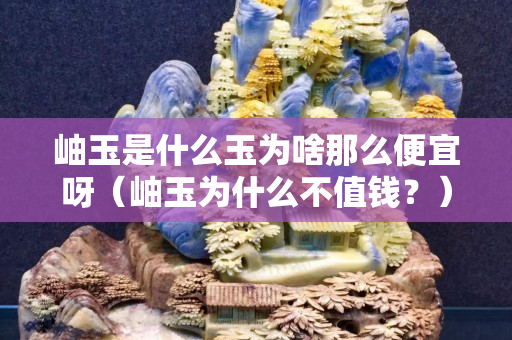 岫玉是什么玉為啥那么便宜呀（岫玉為什么不值錢？）