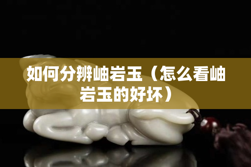 如何分辨岫巖玉（怎么看岫巖玉的好壞）