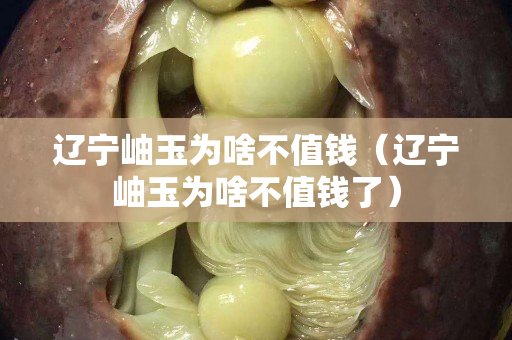 遼寧岫玉為啥不值錢（遼寧岫玉為啥不值錢了）