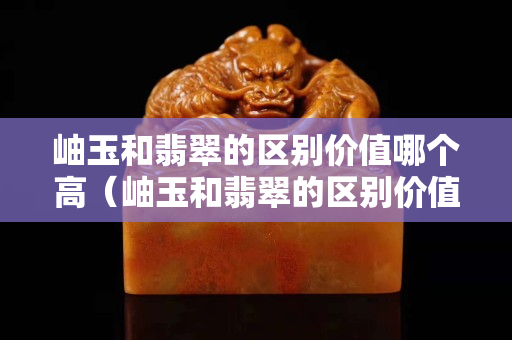 岫玉和翡翠的區(qū)別價值哪個高（岫玉和翡翠的區(qū)別價值哪個高些）