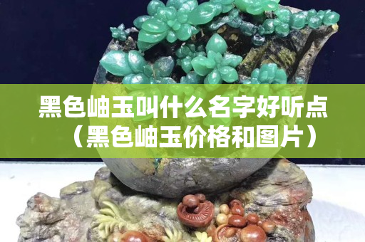 黑色岫玉叫什么名字好聽點（黑色岫玉價格和圖片）