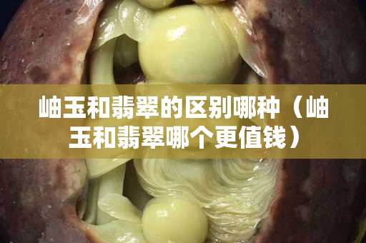 岫玉和翡翠的區(qū)別哪種（岫玉和翡翠哪個更值錢）