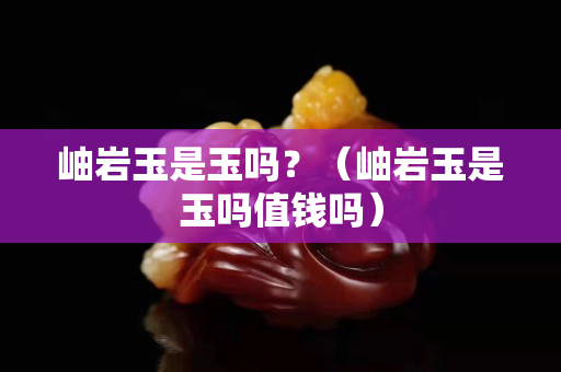 岫巖玉是玉嗎？（岫巖玉是玉嗎值錢嗎）