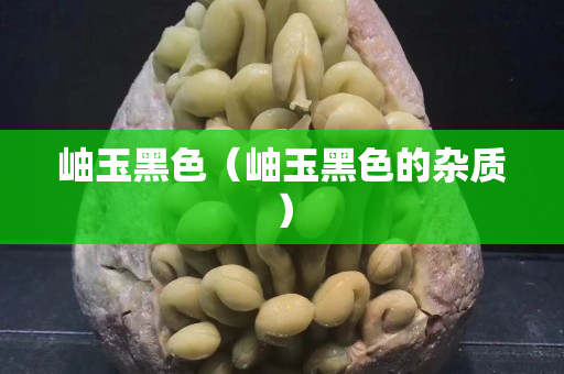 岫玉黑色（岫玉黑色的雜質(zhì)）