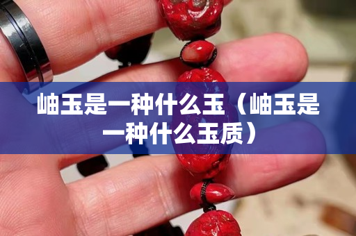 岫玉是一種什么玉（岫玉是一種什么玉質(zhì)）