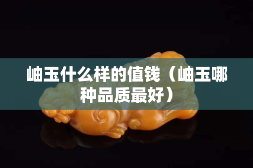 岫玉什么樣的值錢（岫玉哪種品質最好）