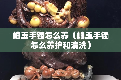 岫玉手鐲怎么養(yǎng)（岫玉手鐲怎么養(yǎng)護(hù)和清洗）