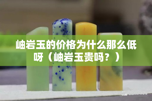 岫巖玉的價格為什么那么低呀（岫巖玉貴嗎？）