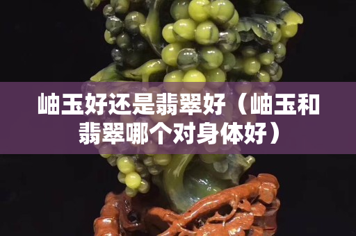岫玉好還是翡翠好（岫玉和翡翠哪個對身體好）