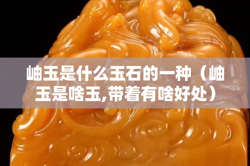 岫玉是什么玉石的一種（岫玉是啥玉,帶著有啥好處）