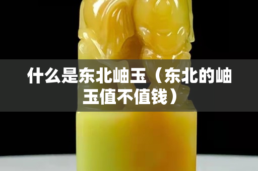 什么是東北岫玉（東北的岫玉值不值錢）