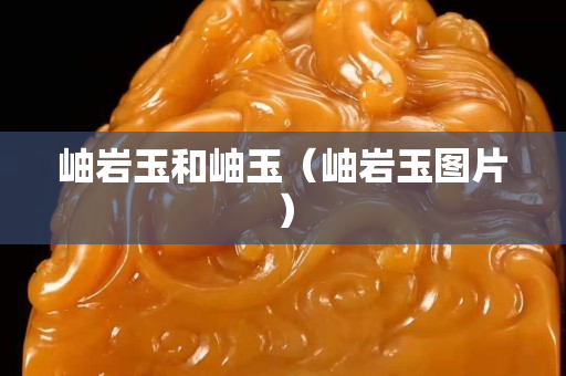 岫巖玉和岫玉（岫巖玉圖片）
