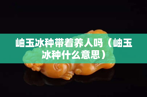 岫玉冰種帶著養人嗎（岫玉冰種什么意思）