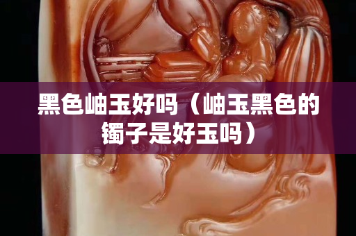 黑色岫玉好嗎（岫玉黑色的鐲子是好玉嗎）