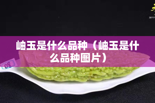 岫玉是什么品種（岫玉是什么品種圖片）