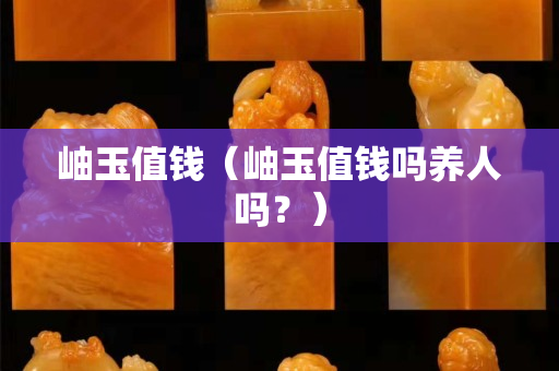 岫玉值錢（岫玉值錢嗎養人嗎？）