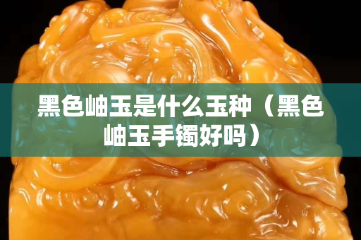 黑色岫玉是什么玉種（黑色岫玉手鐲好嗎）