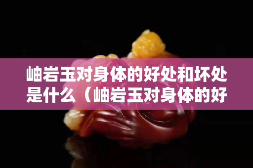 岫巖玉對身體的好處和壞處是什么（岫巖玉對身體的好處和壞處是什么意思）