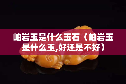 岫巖玉是什么玉石（岫巖玉是什么玉,好還是不好）